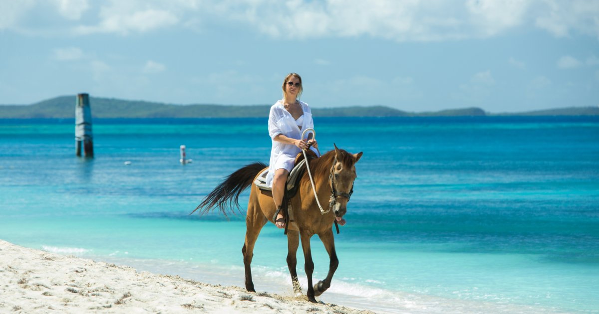 Fernwood Horseback Riding