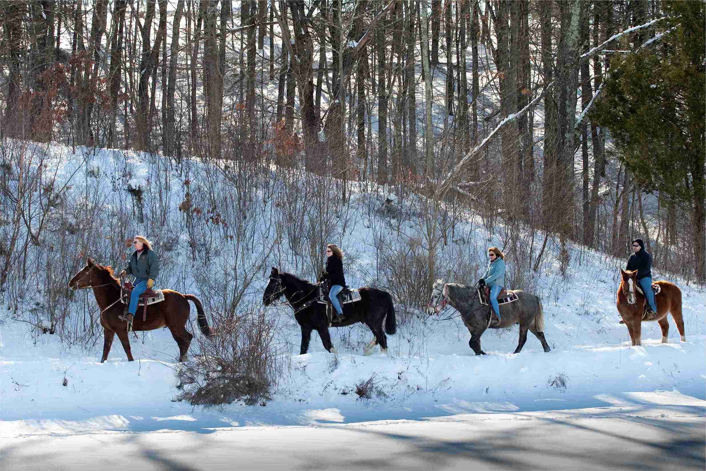 Bushkill Riding Stables